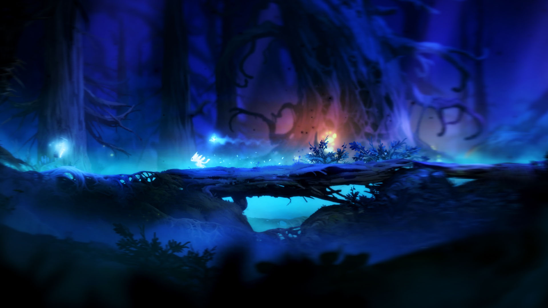 Ori And The Blind Forest Backgrounds, Compatible - PC, Mobile, Gadgets| 1920x1080 px