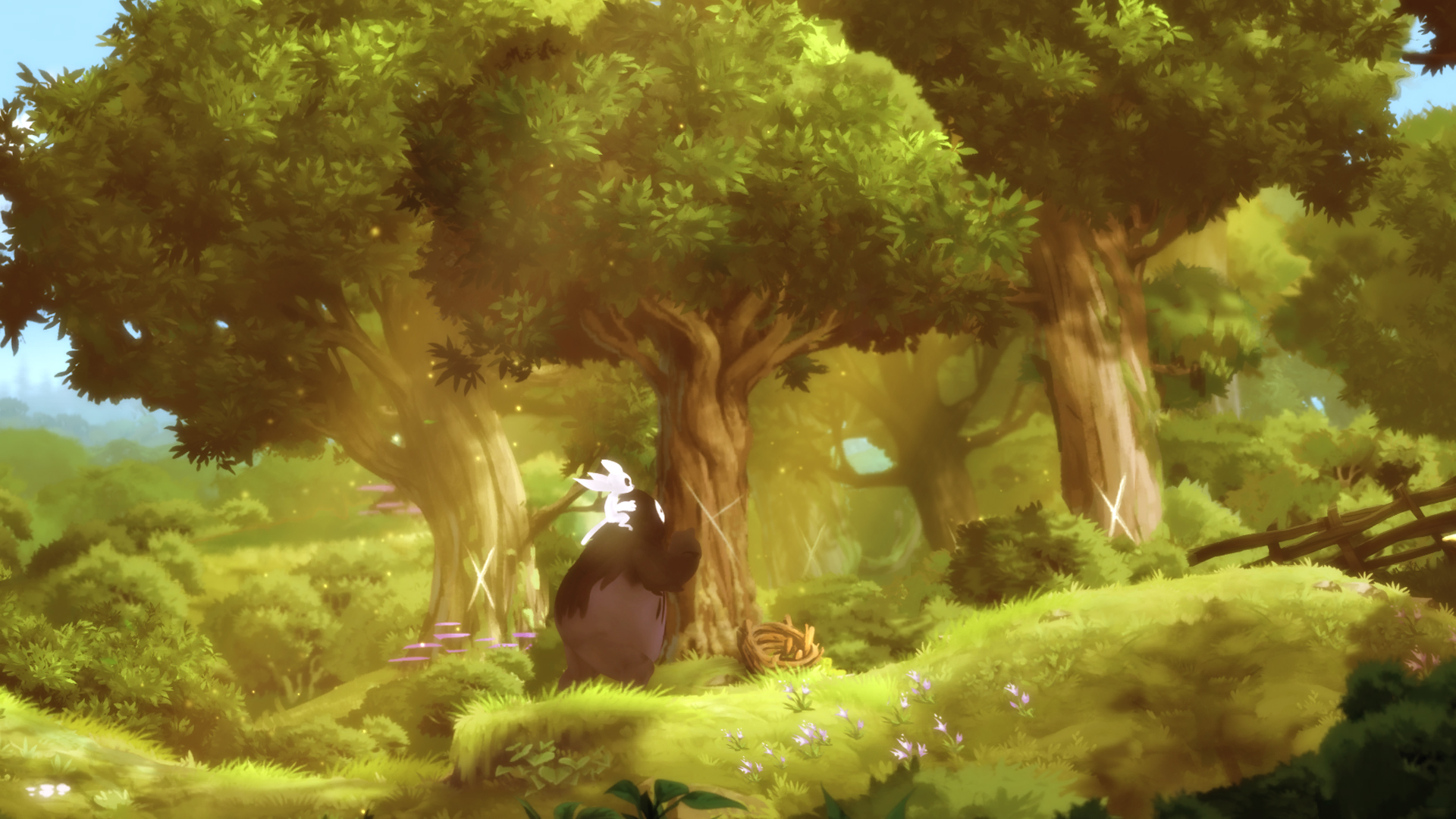 Ori And The Blind Forest HD wallpapers, Desktop wallpaper - most viewed