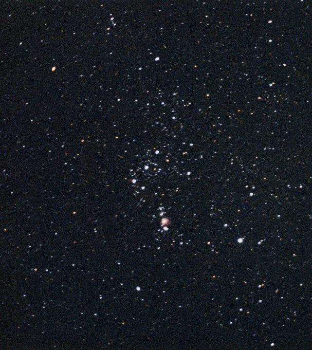 Orion #6