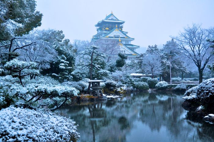 Osaka Castle High Quality Background on Wallpapers Vista