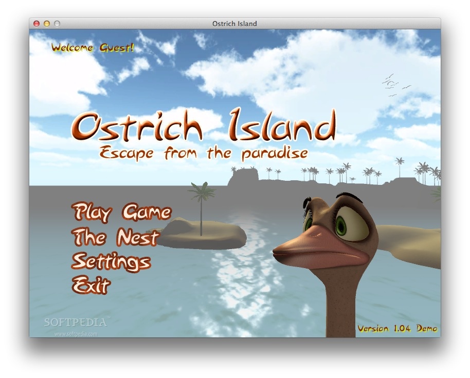 Nice Images Collection: Ostrich Island Desktop Wallpapers