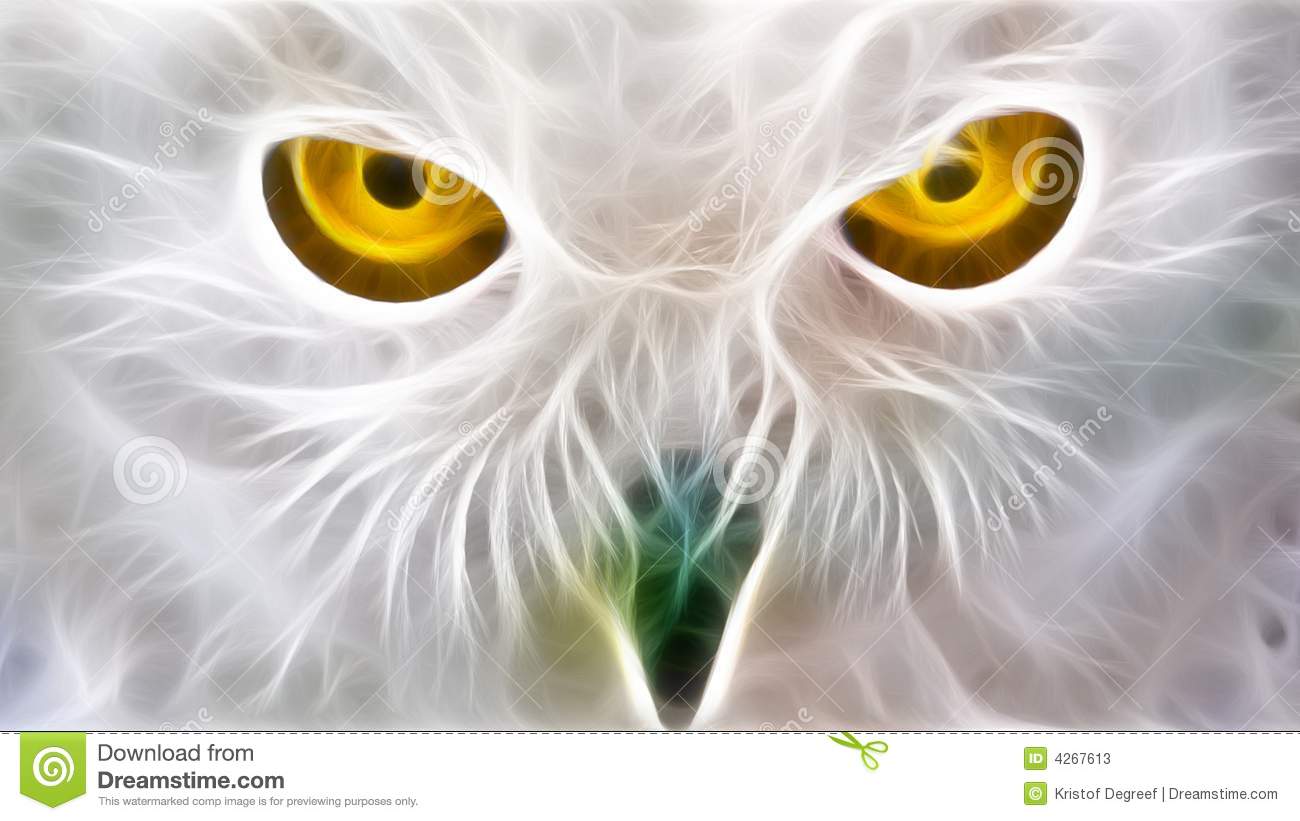 Owl Eyes #2