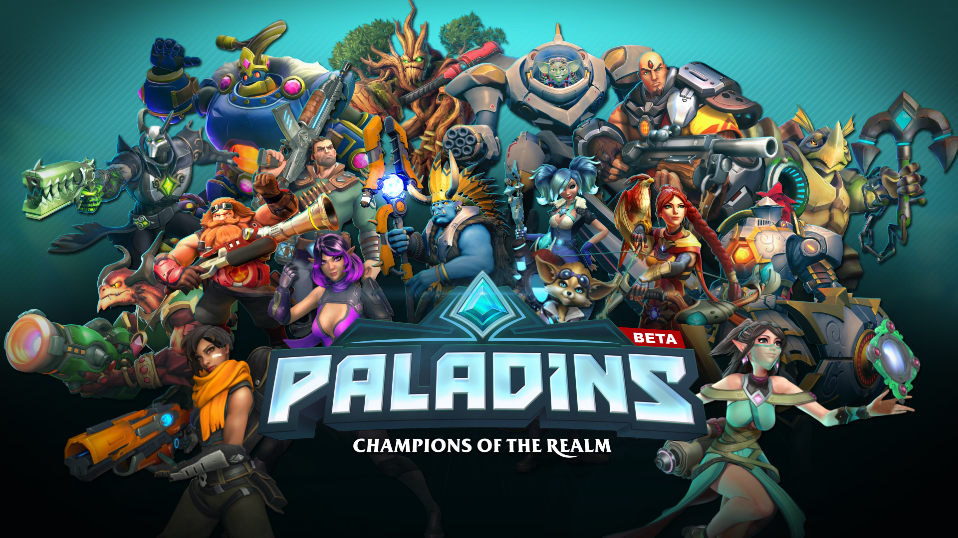 Paladins Pics, Video Game Collection