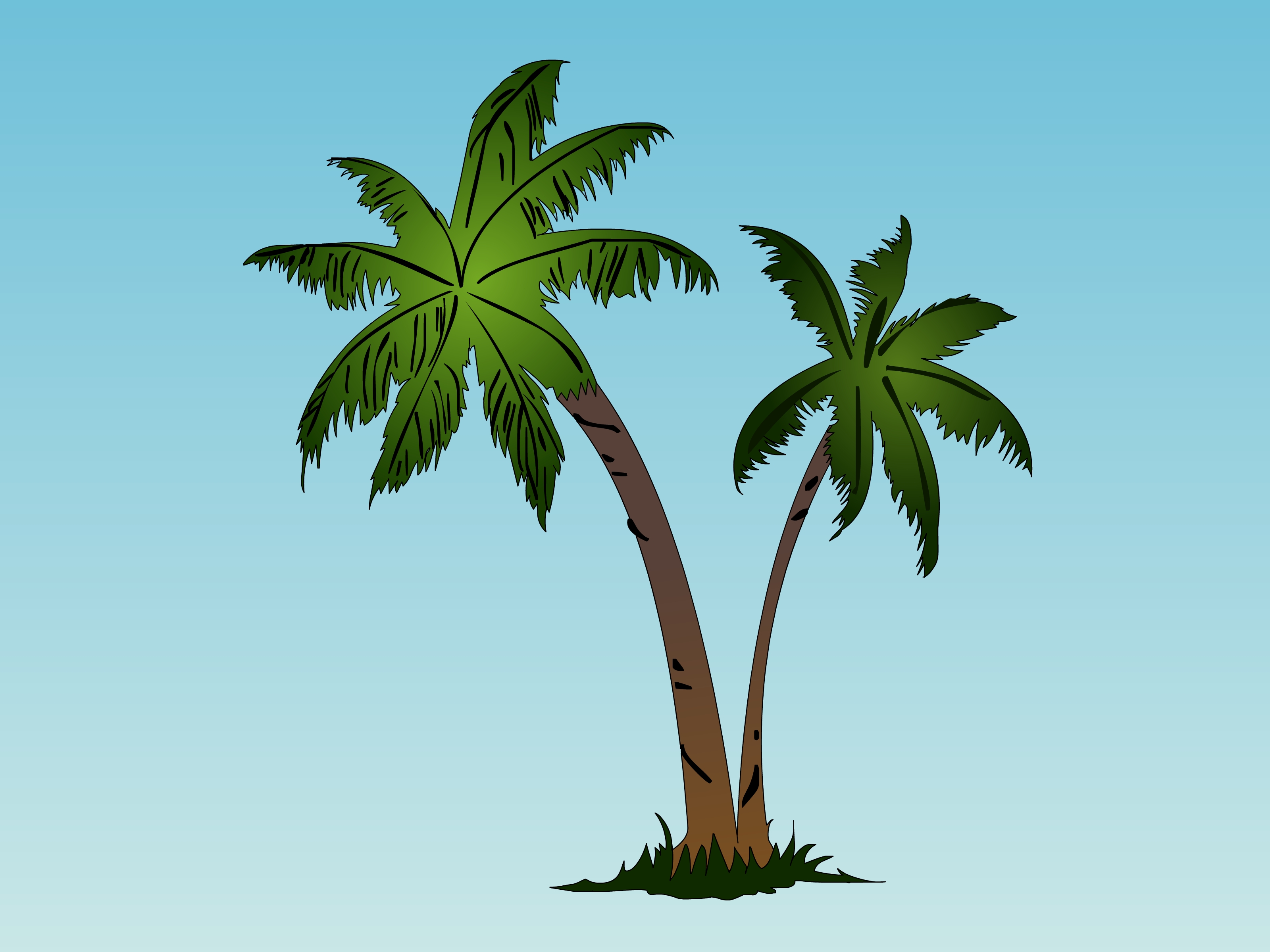 High Resolution Wallpaper | Palm Tree 3200x2400 px