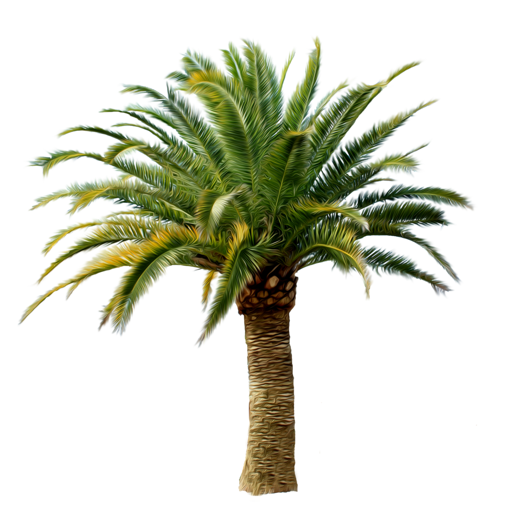 Palm Tree #6