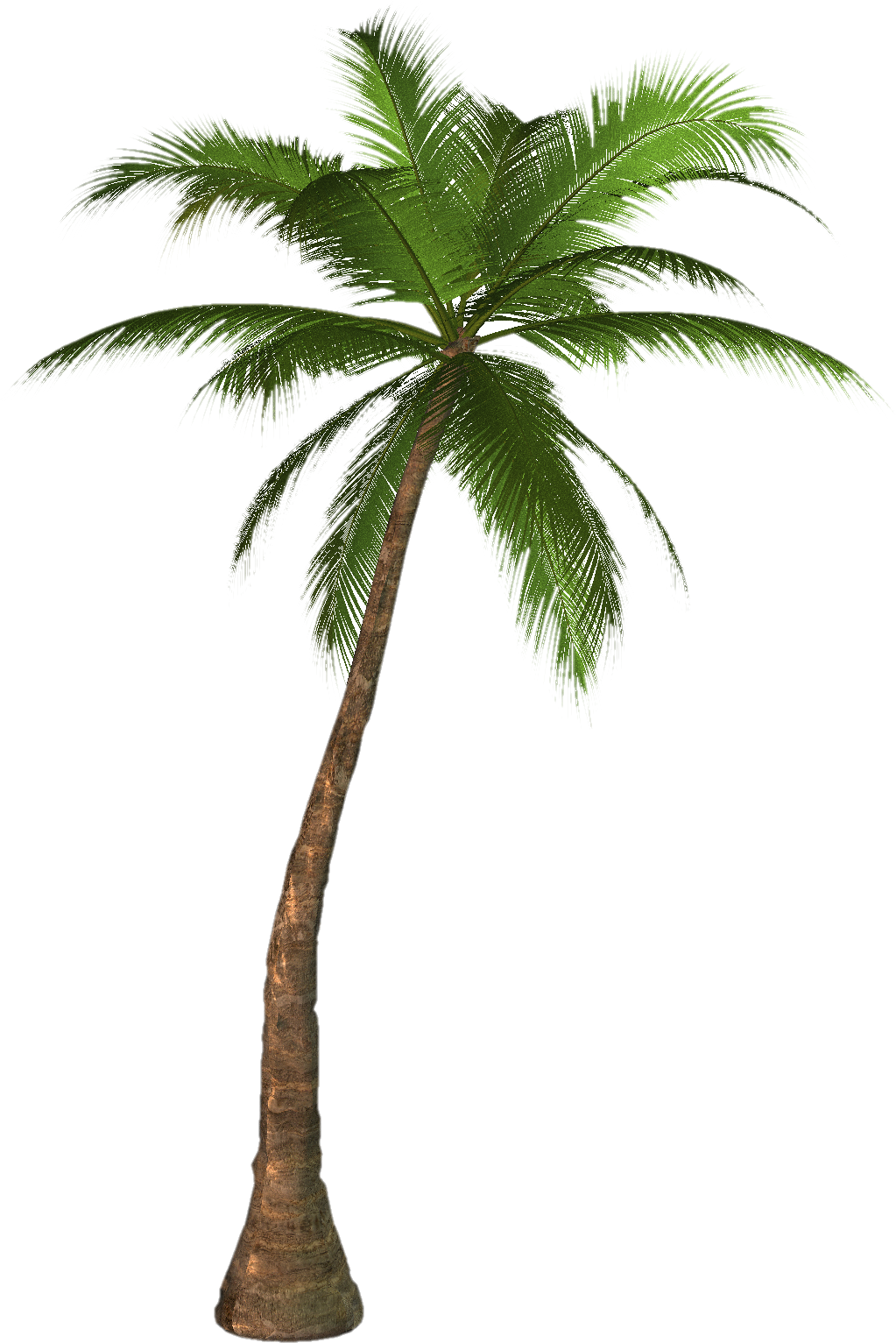 Palm Tree #12