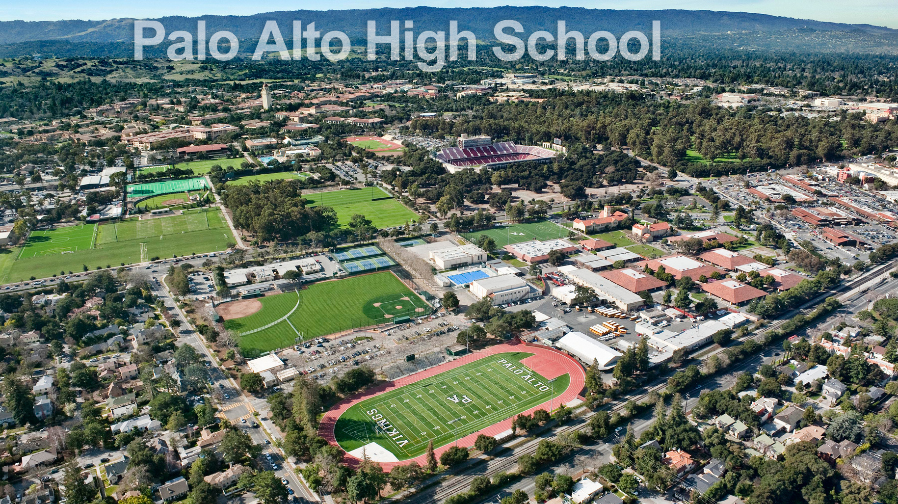 Palo Alto #6