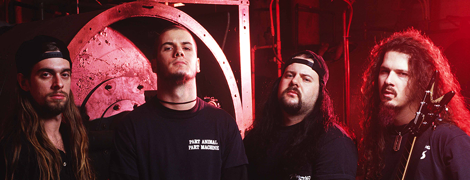 Amazing Pantera Pictures & Backgrounds