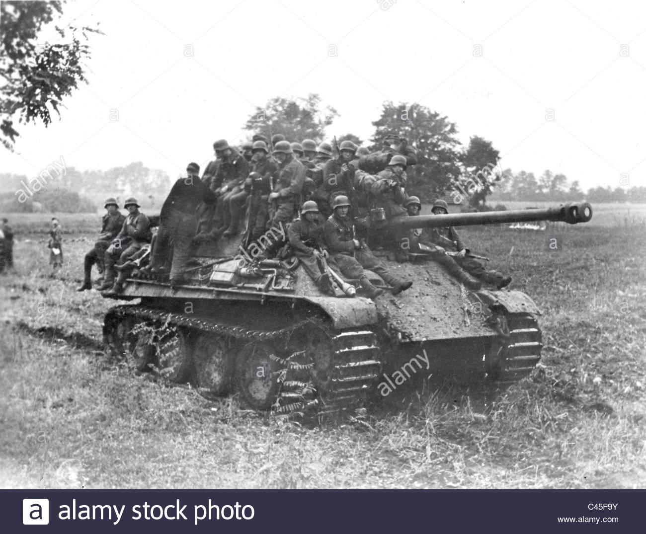 Panther Tank #19