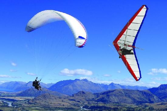 HD Quality Wallpaper | Collection: Sports, 550x366 Paragliding