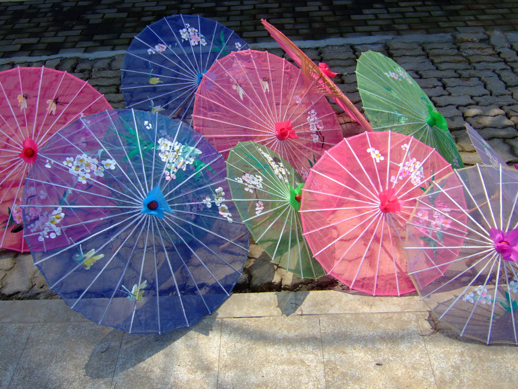 Amazing Parasol Pictures & Backgrounds