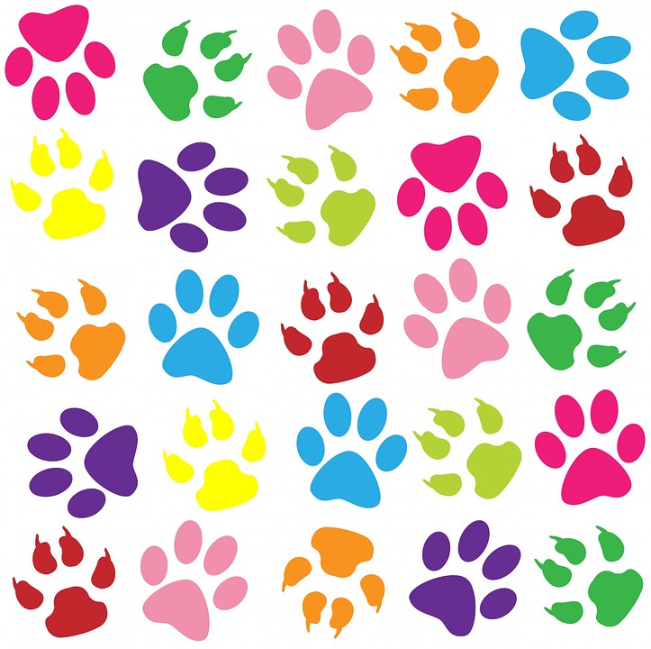 Nice Images Collection: Paw Prints Desktop Wallpapers