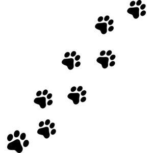 Paw Prints High Quality Background on Wallpapers Vista
