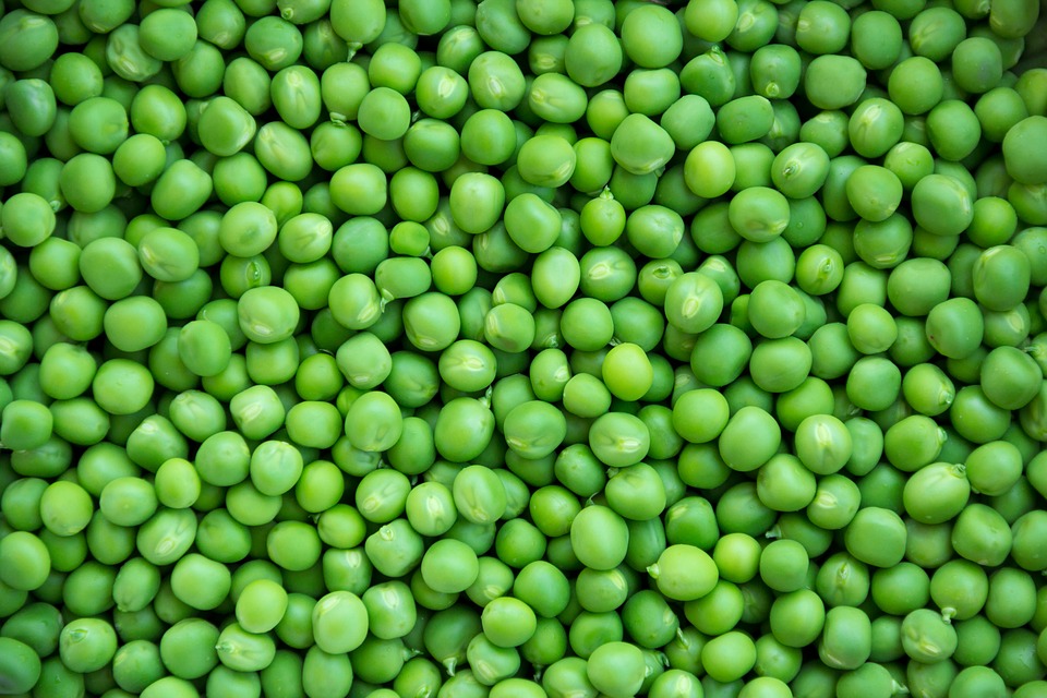 Pea Backgrounds on Wallpapers Vista