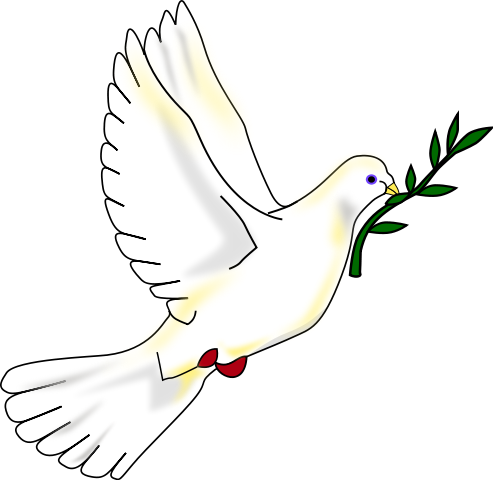 Amazing Peace Dove Pictures & Backgrounds
