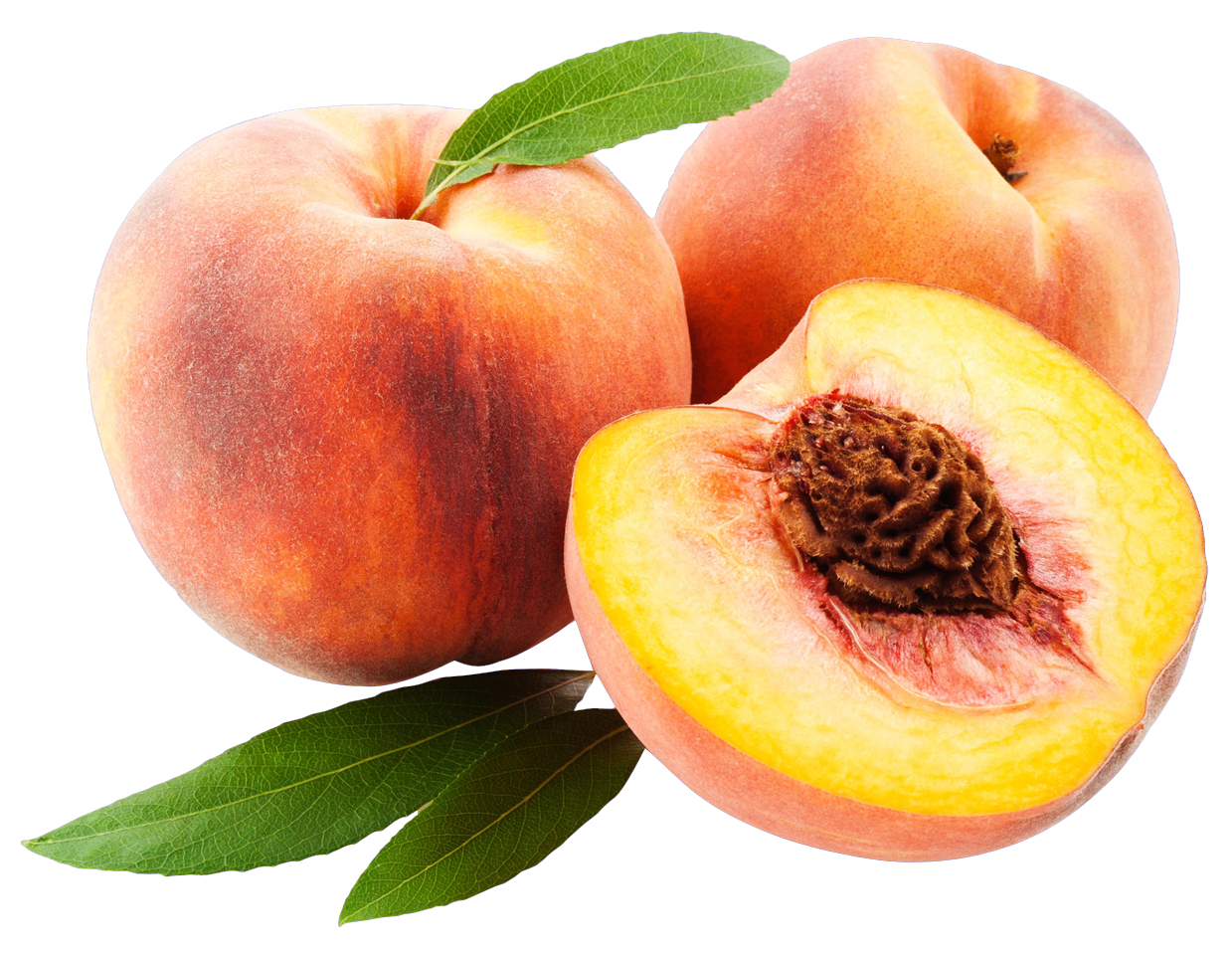 Nice Images Collection: Peach Desktop Wallpapers