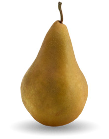 Pear High Quality Background on Wallpapers Vista