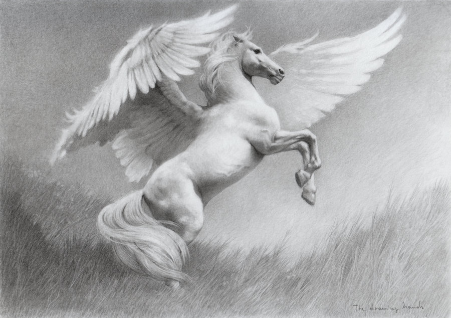 Pegasus High Quality Background on Wallpapers Vista