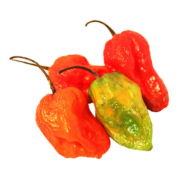 HD Quality Wallpaper | Collection: Food, 600x600 Pepper