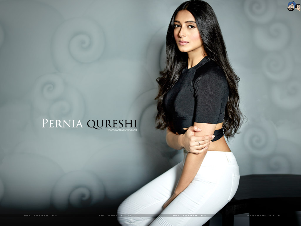 Pernia Qureshi Backgrounds, Compatible - PC, Mobile, Gadgets| 1024x768 px