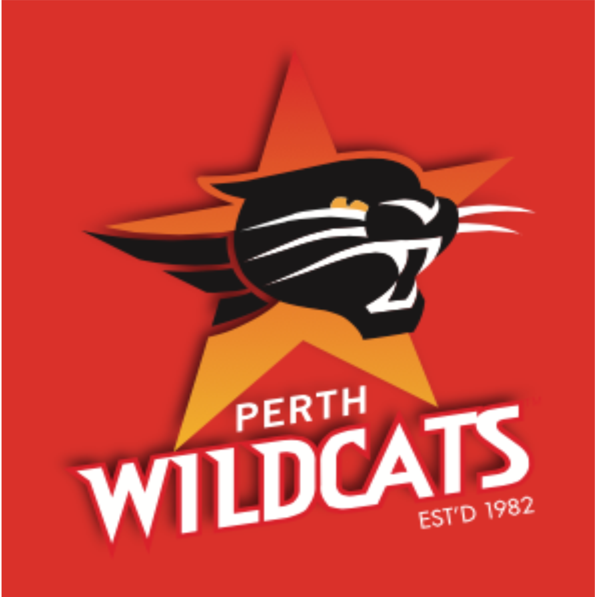HD Quality Wallpaper | Collection: Sports, 1196x1200 Perth Wildcats