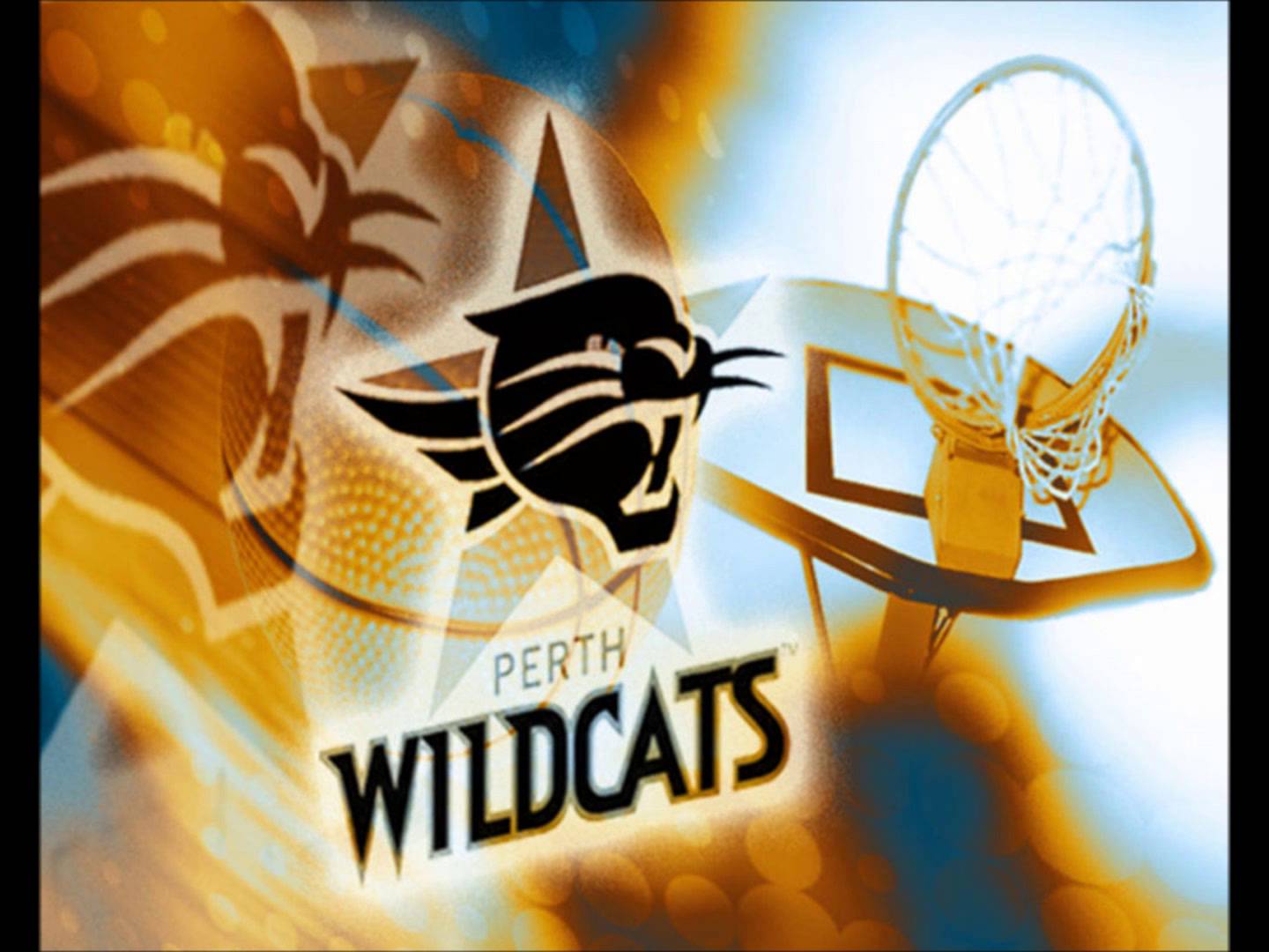 Perth Wildcats #1