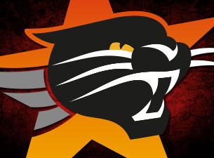 305x225 > Perth Wildcats Wallpapers