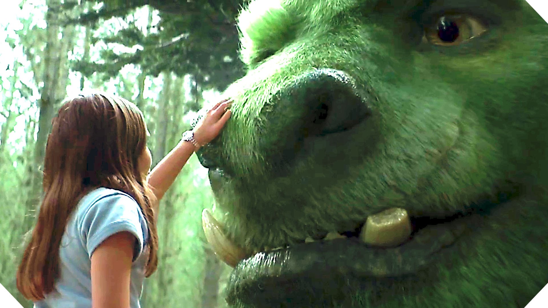 Pete's Dragon (2016) High Quality Background on Wallpapers Vista