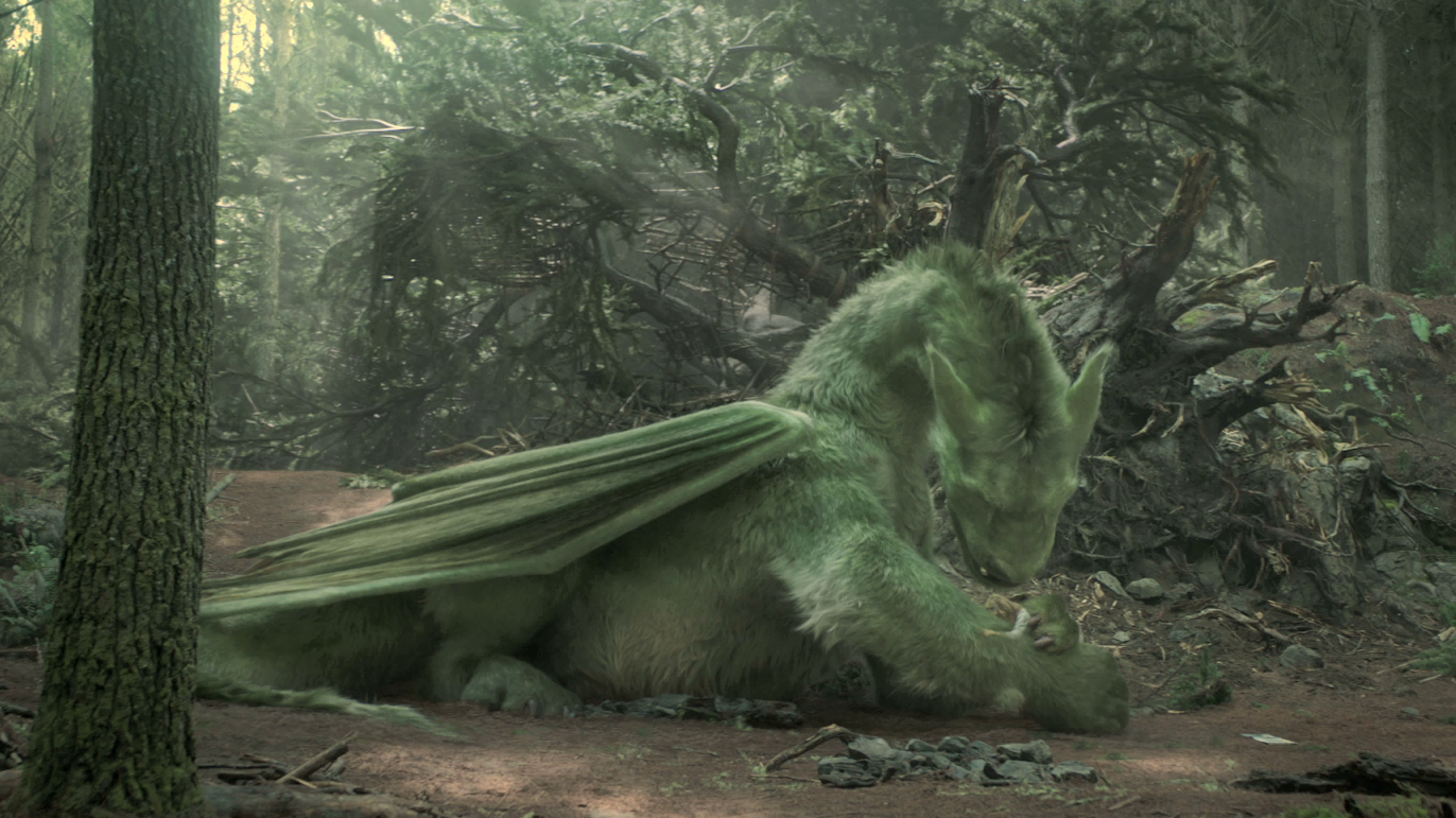Nice wallpapers Pete's Dragon (2016) 1372x771px