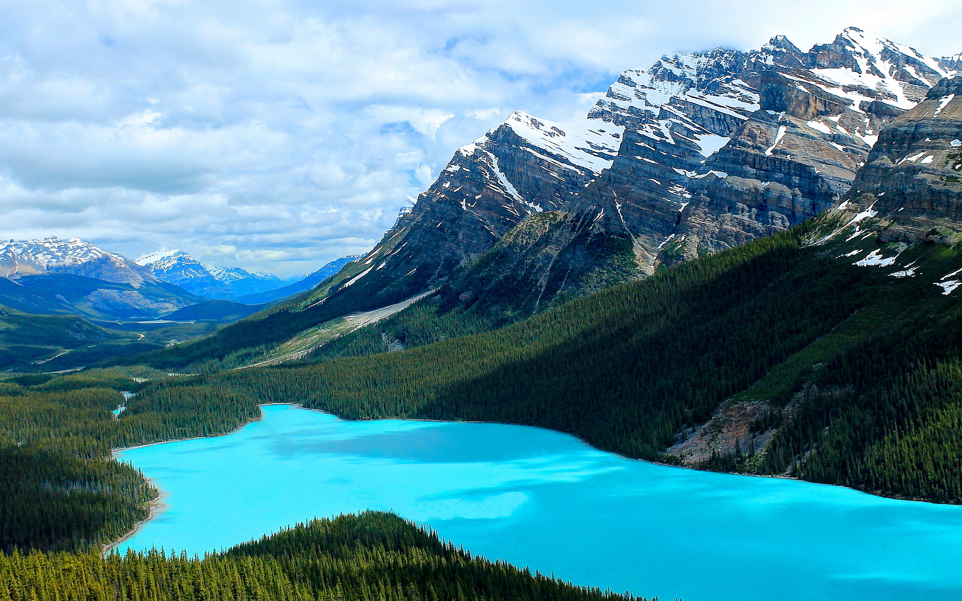 Amazing Peyto Lake Pictures & Backgrounds