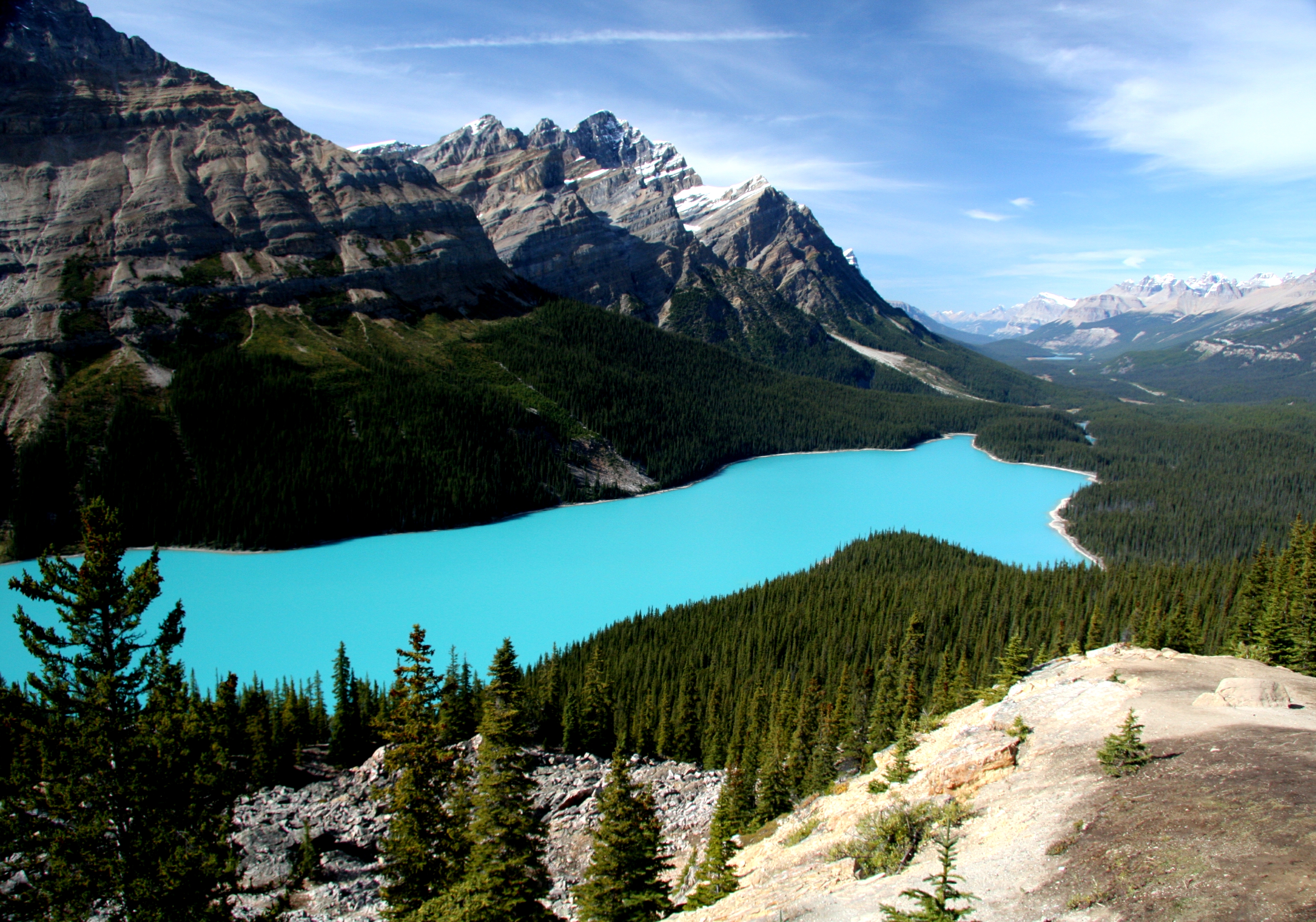 Peyto Lake High Quality Background on Wallpapers Vista