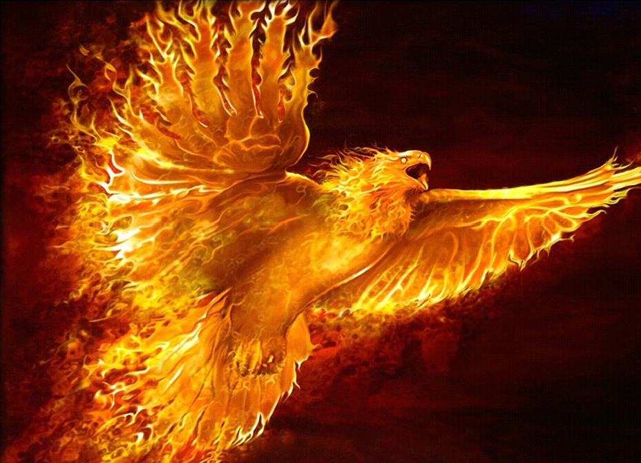 Phoenix High Quality Background on Wallpapers Vista