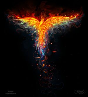 Amazing Phoenix Pictures & Backgrounds