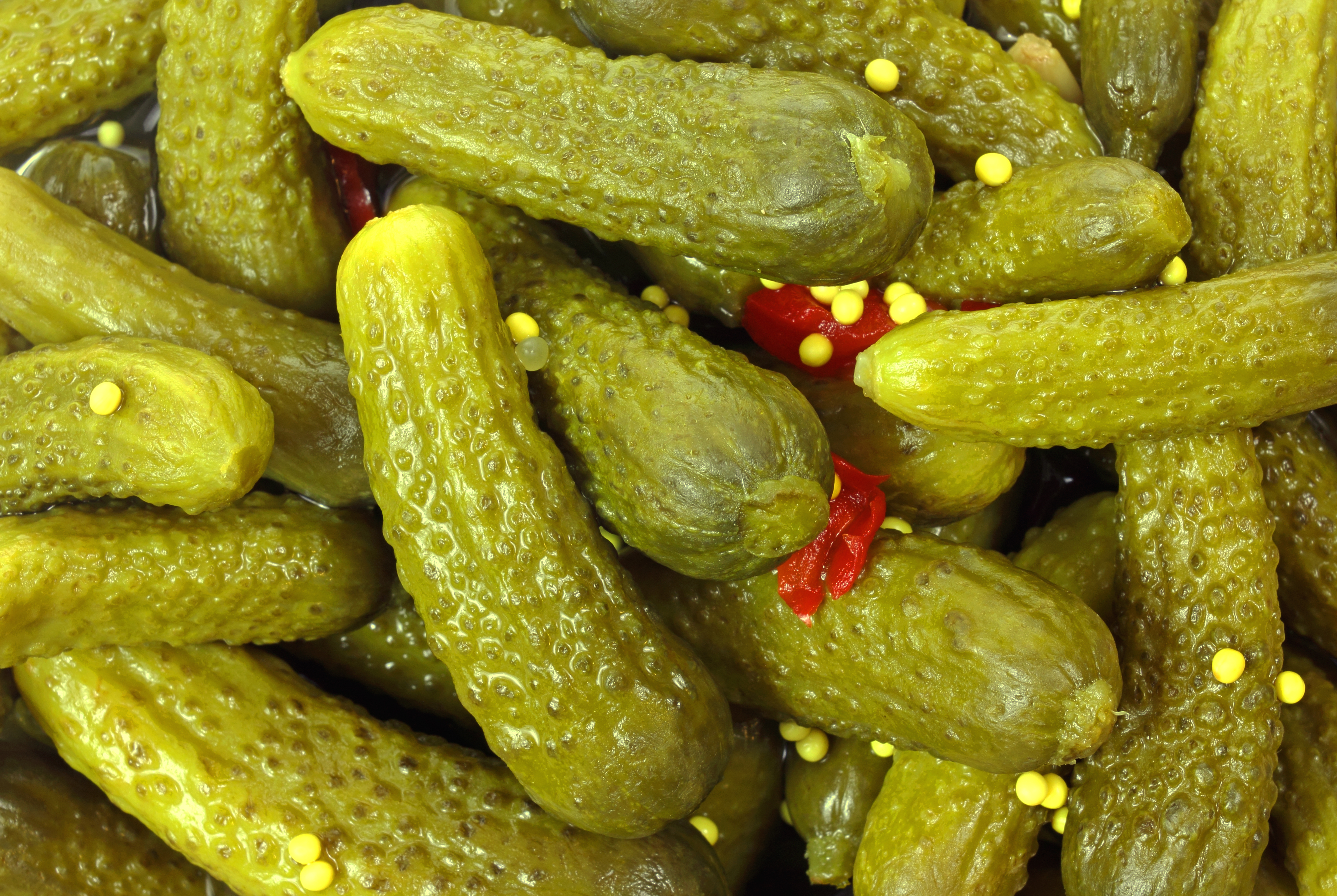 Nice Images Collection: Pickles Desktop Wallpapers