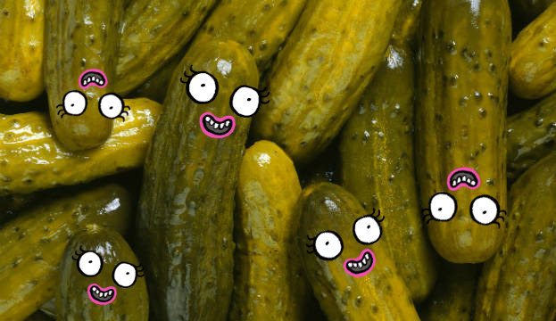 623x360 > Pickles Wallpapers