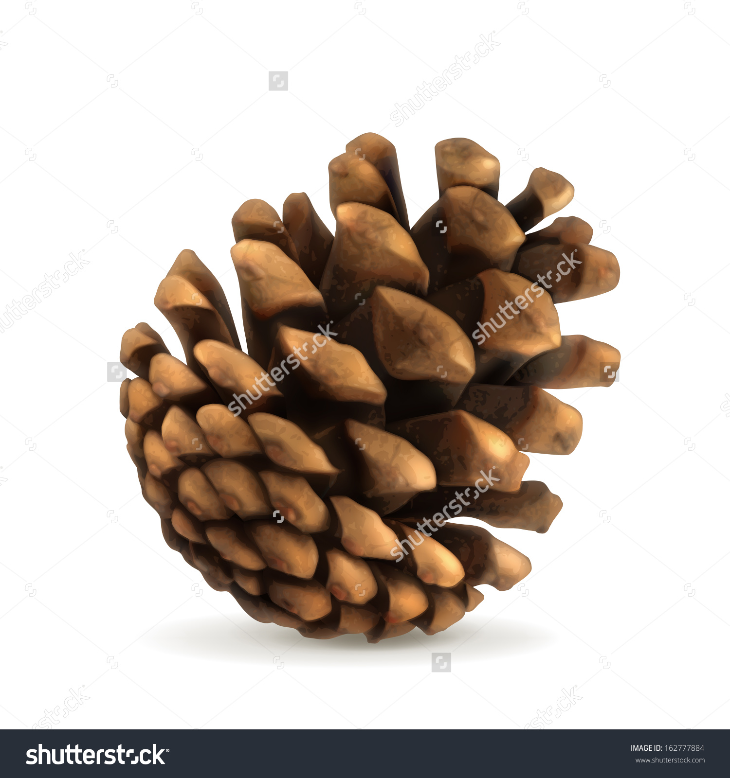 1500x1600 > Pine Cone Wallpapers