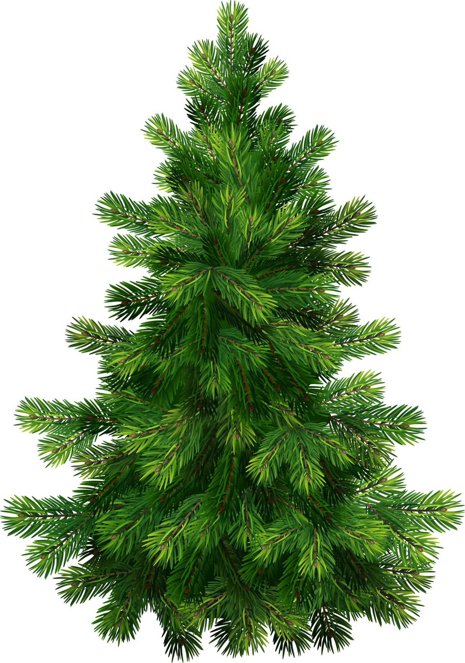 Pine Tree #7