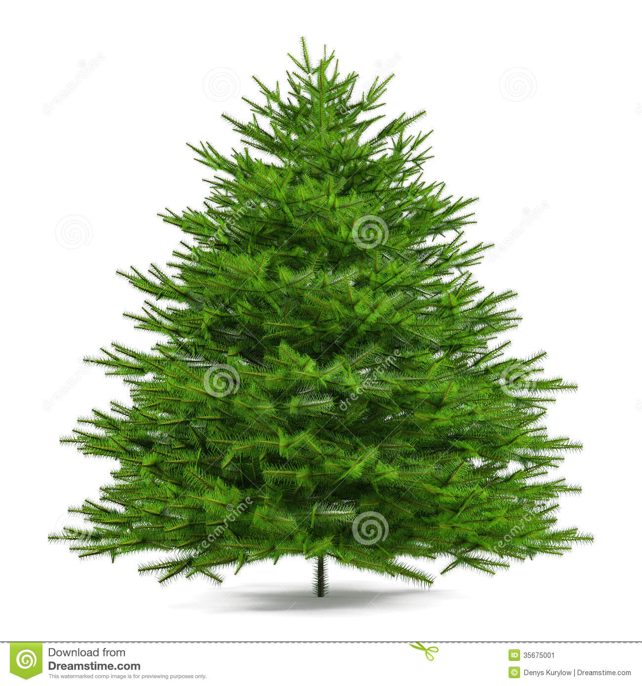 Pine Tree #2