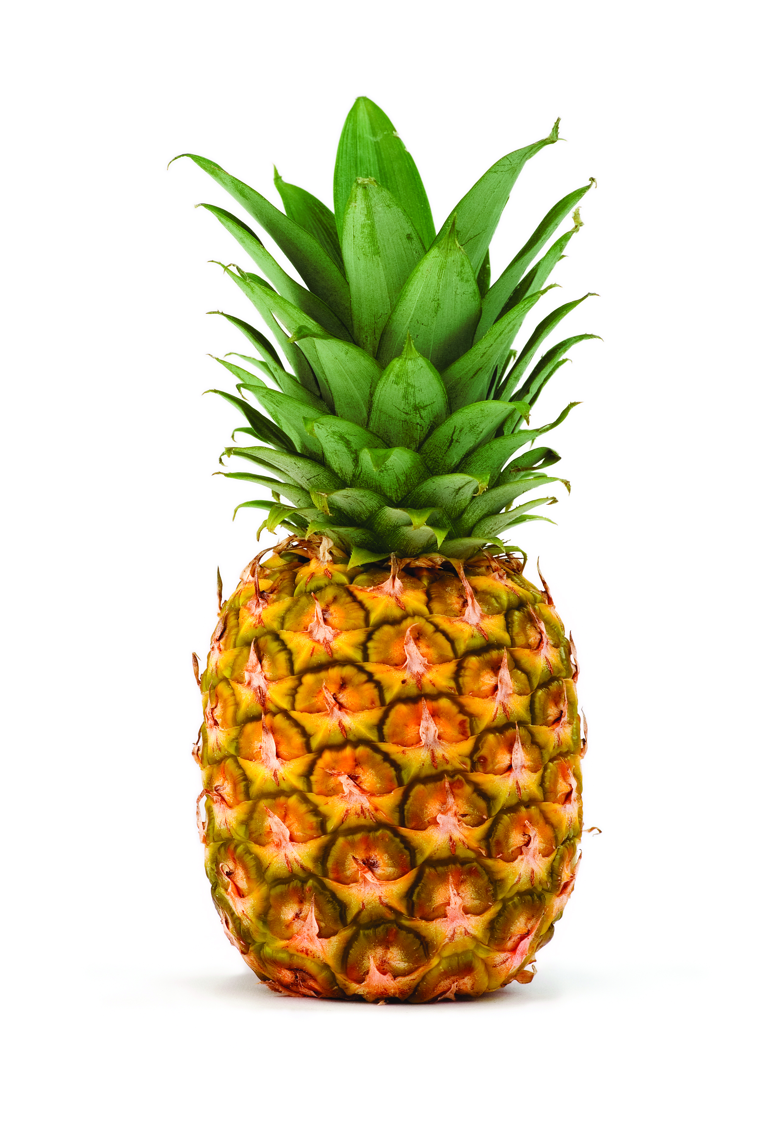 Pineapple Backgrounds on Wallpapers Vista