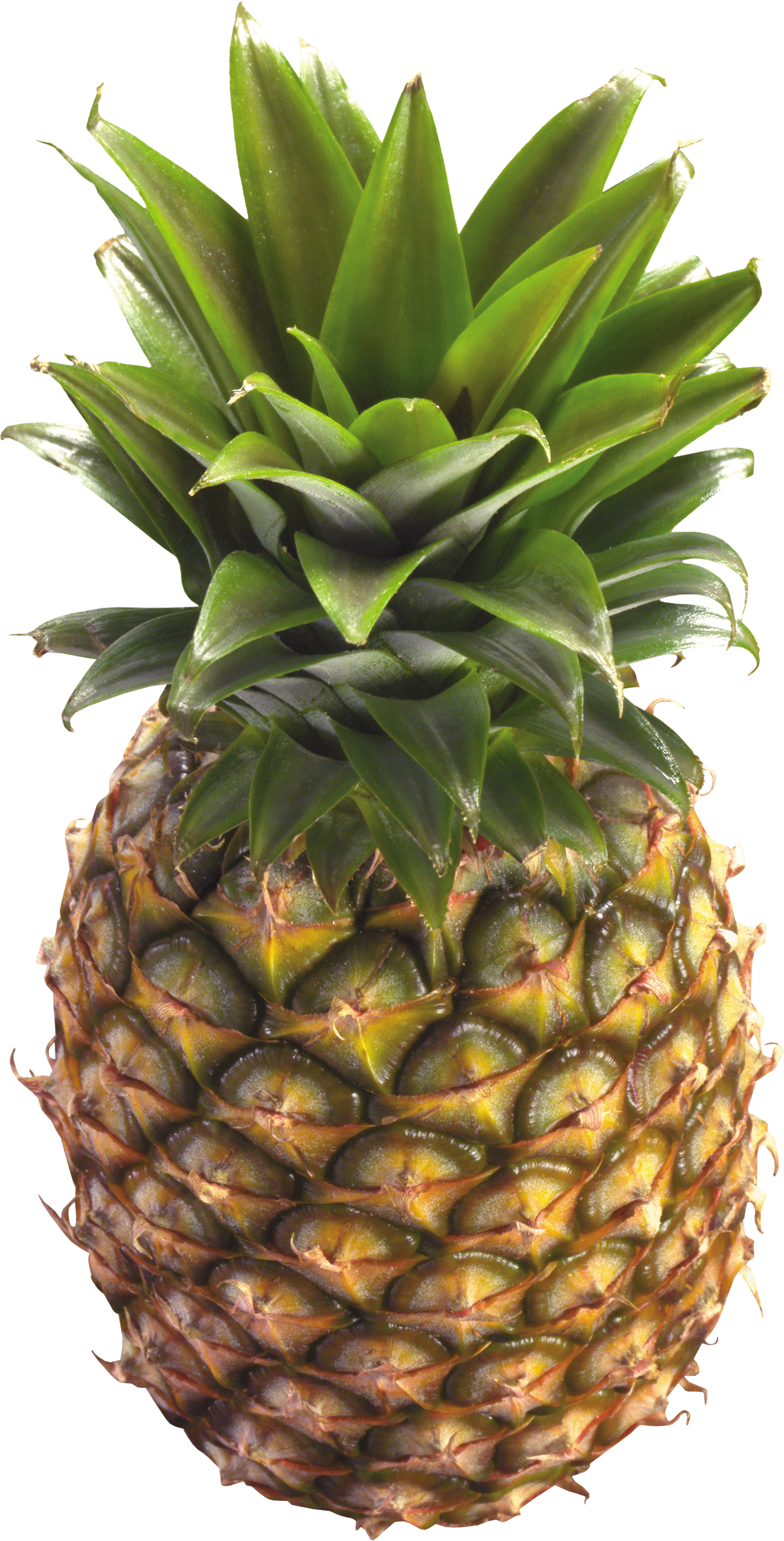 Amazing Pineapple Pictures & Backgrounds