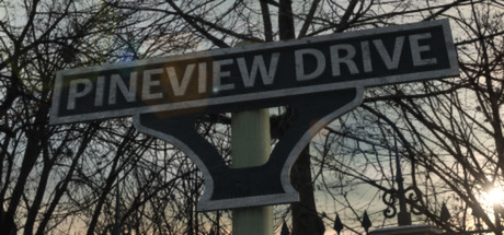 Pineview Drive #10
