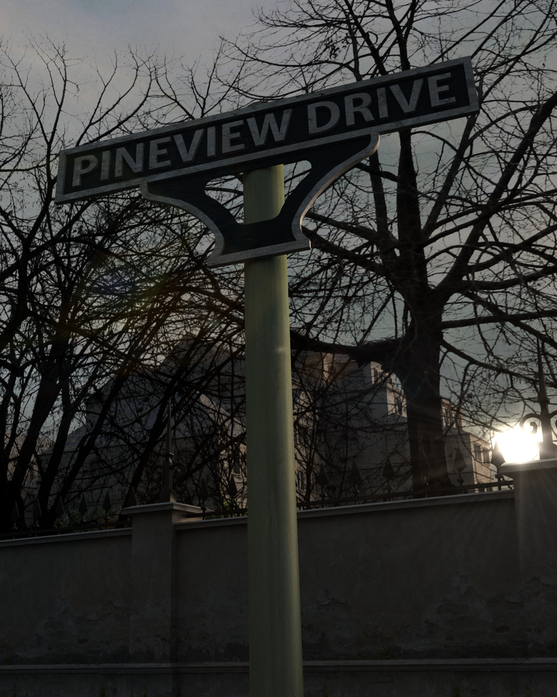 High Resolution Wallpaper | Pineview Drive 800x1000 px