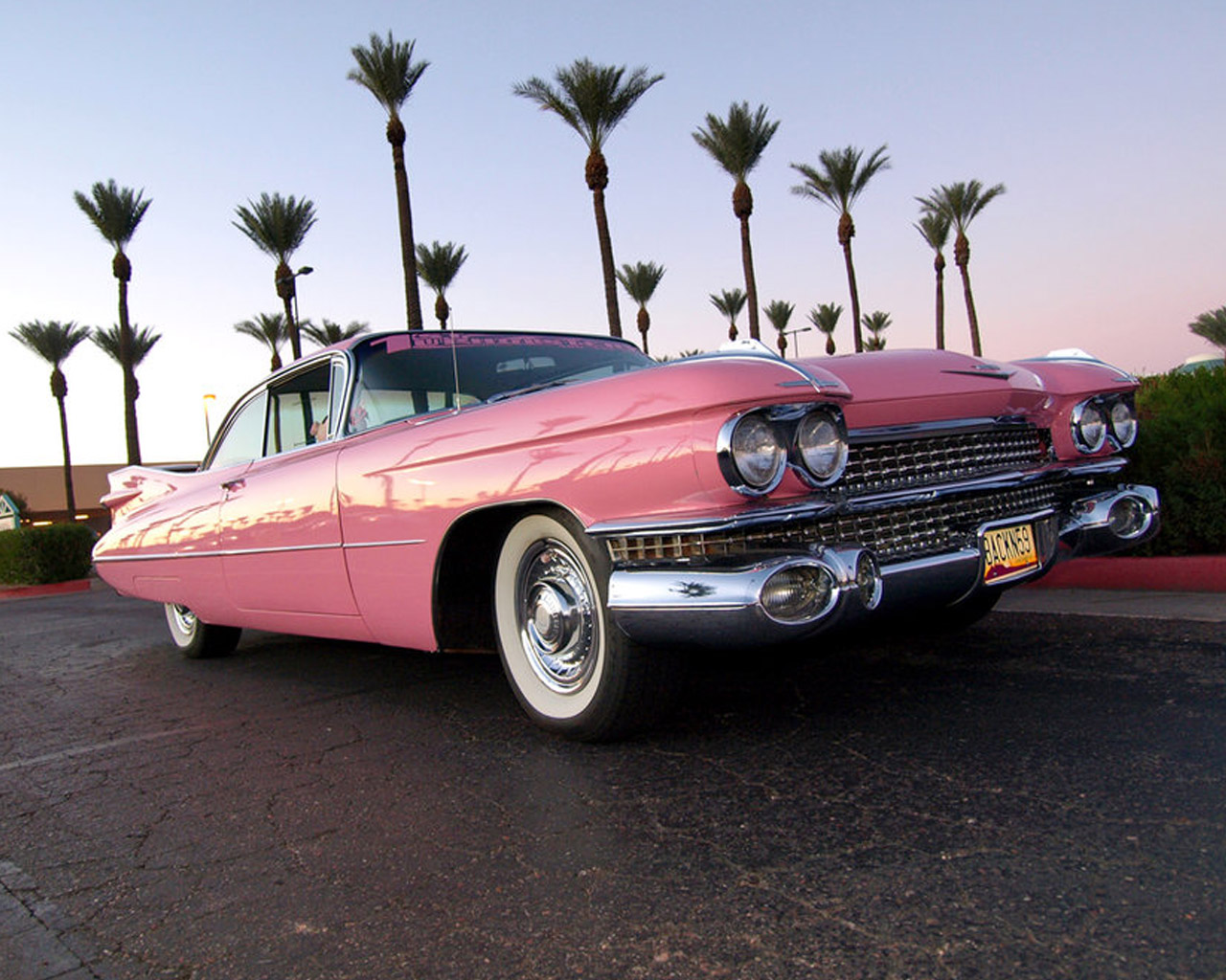 Pink Cadillac Pics, Movie Collection. 