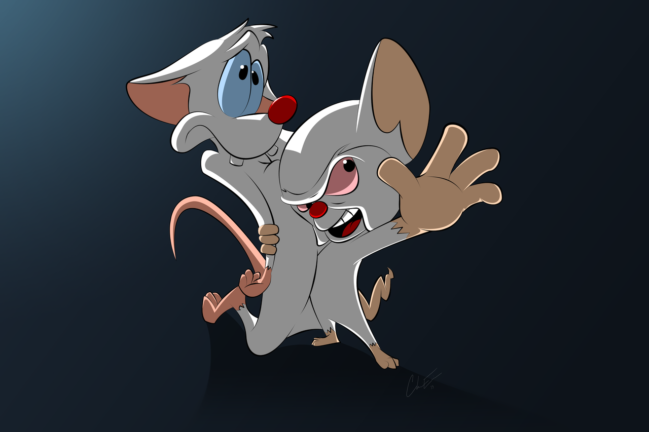 1280x853 > Pinky And The Brain Wallpapers
