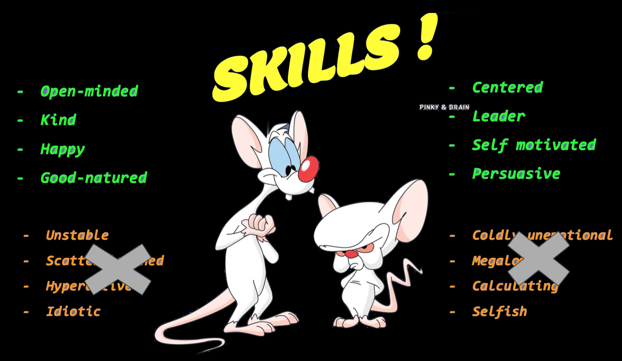 Pinky And The Brain Backgrounds, Compatible - PC, Mobile, Gadgets| 2016x1172 px