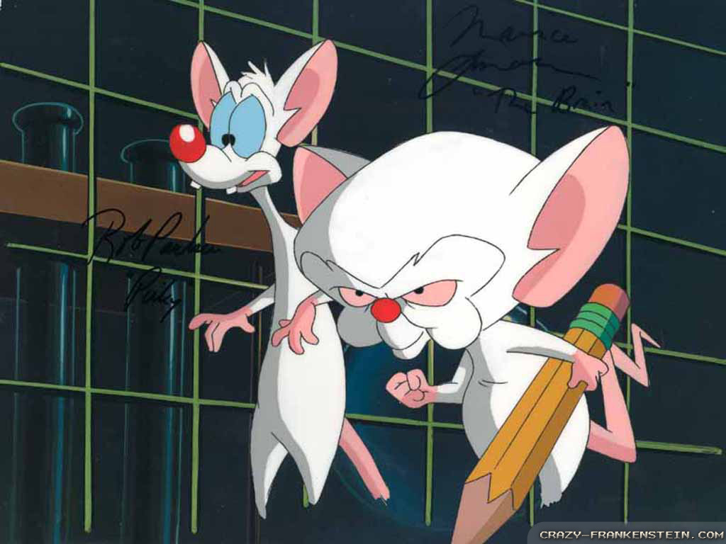 HD Quality Wallpaper | Collection: Cartoon, 1024x768 Pinky And The Brain