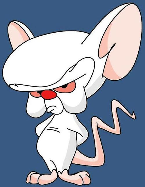 Nice Images Collection: Pinky And The Brain Desktop Wallpapers
