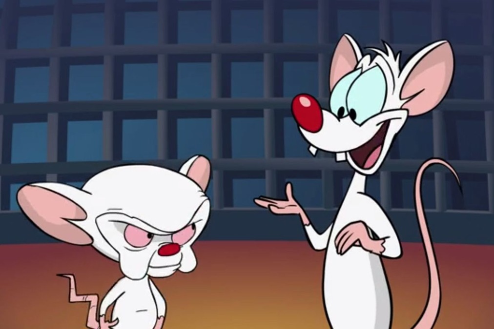 1012x675 > Pinky And The Brain Wallpapers