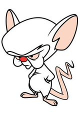 Nice wallpapers Pinky And The Brain 160x226px