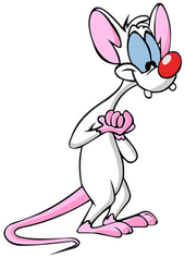 Pinky And The Brain Backgrounds, Compatible - PC, Mobile, Gadgets| 170x237 px